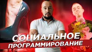 Социальное Программирование / Какие Парни Нравятся Девушкам