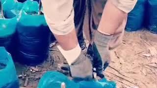پیوند نیمانیم زبانه ای حرفه ای