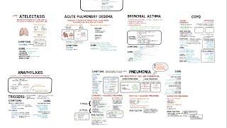 Approach to Dyspnea  -  Part 1:  Sudden & Rapid Adult Dyspnea