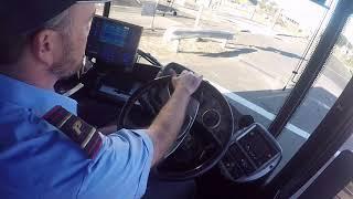 Driving a bus in Australia