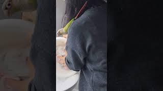 엄마 빨래할 때 너희들(앵이들) 뭐해?