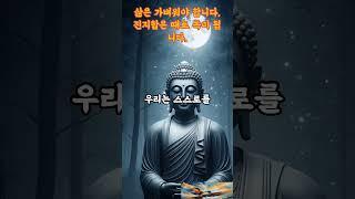 삶은 가벼워야 합니다. 진지함은 때로 독이 됩니다./너무 진지하게 살지 마세요, 그게 당신을 괴롭게 합니다 #고요한지혜 #부처님말씀 #진지함 #좋은글 #짧은명상#가벼움
