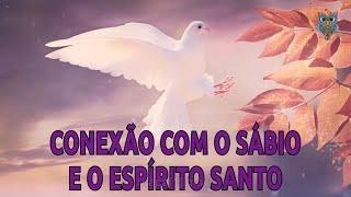 Meditação Guiada - Conexão com o  SÁBIO E O ESPÍRITO SANTO I Orientação espiritual através da alma