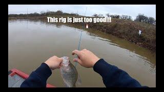 You better be using this rig at spillways! Pre-Spawn crappie absolutely love it! Creek February 2024