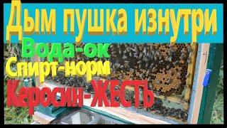 Что происходит внутри улья? Дым пушка от клеща. За стеклом.