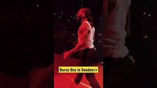 BURNA BOY LIVE PERFORMING IN SWEDEN  #shorts #trending #viral #fyp #shortvideo #brasil #angola