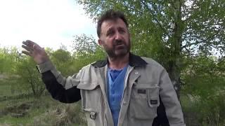 Хотите завести пчел, но нет денег... Часть вторая "Расставляем ловушки"