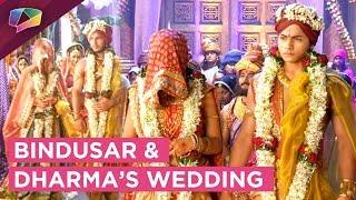 Bindusar And Dharma Get Married In A Royal Way | Chandranandini