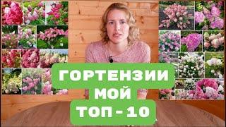 Метельчатые ГОРТЕНЗИИ / ТОП-10 ЛУЧШИХ СОРТОВ