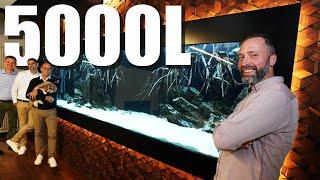 5000 Korallenplatys??? 400x120x100cm Süßwasseraquarium braucht dringend neue Einrichtung+Besatz!!!