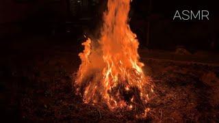 ASMR 불멍 편안한 모닥불 소리 들으며 휴식을 취해보아요 백색소음, 장작타는 소리 Firewood White noise Sleepy Healing sound