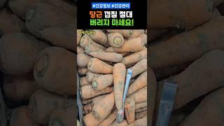 당근 껍질 절대 버리지 마세요 #건강 #건강정보