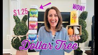 WOW DOLLAR TREE HAUL | The BEST  New Items & a HUGE Name Brand Find 