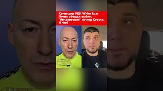 Командир РДК White Rex: Путин обещал выбить "бандеровцев" из-под Курска. И что? #shorts