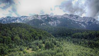 Driving Through the Stumning Romanian Carpathians: Exploring Scenic Mountain Roads (Satul Pestera)