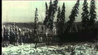 Forestry in Sweden, 1950's - Film 92250