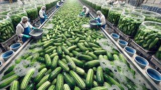 American Farmers Make Billions Of Dollars Processing Fruits And Vegetables This Way