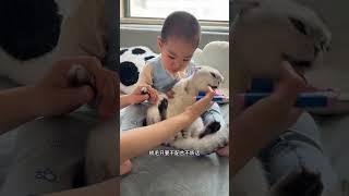 养好猫和孩子是我最重要的事 #春日净系生活 #霍尼韦尔猫用净化器 #空气净化器 #宠物空气净化器 #除猫毛