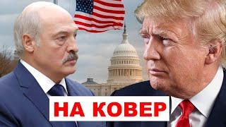 Лукашенко ВЫЗВАЛ Трампа на КОВЁР в Беларусь