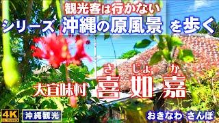 ◤沖縄観光◢ 沖縄の原風景を歩く『大宜味村喜如嘉』 833  おきなわさんぽ：沖縄散歩