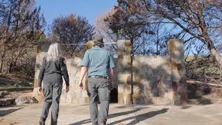 Buchan Caves Reserve bushfire recovery