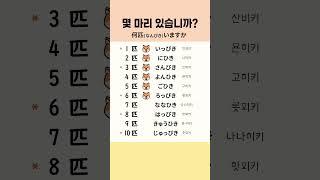 [모모일본어] 일본어 숫자세기 ~匹 (ひき) 몇 마리 있습니까?