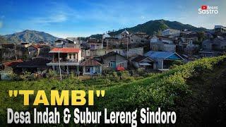 "TAMBI" DESA INDAH DAN SUBUR DI LERENG SINDORO | AIR MELIMPAH WALAU KEMARAU PANJANG