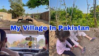 Aj Dekhati Hon Apna Susral | Village Life In Pakistan | @uzmachlife