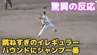 【驚異の反射神経】中野拓夢、とんでもなく跳ね上がったイレギュラーバウンドにジャンプ一番で反応してアウトにする超ファインプレー！ 2024.9.16