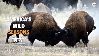 America's Wild Seasons, Summer - हिन्दी डॉक्यूमेंट्री | Wildlife documentary in Hindi