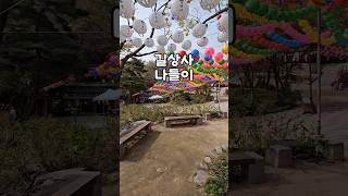 길상사에서 한 잔 어때? #템플스테이 #초록매실