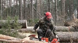 Stihl MS 361 vs Husqvarna 365, пилим - сравниваем достоинства и недостатки.