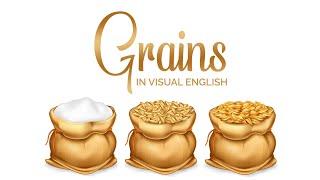 All Grains Visual Vocabulary In English