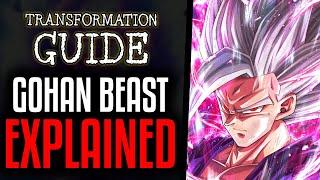 Gohan Beast Explained