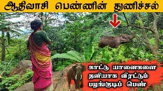 யானையை தனியாக விரட்டும் பெண் A woman chasing an elephant alone #forest #village #tribal #elephant