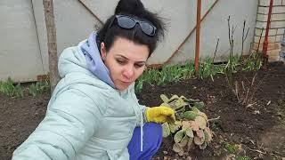 УРАА!!! МЫ ЕЕ КУПИЛИ МОЯ МЕЧТА ИСПОЛНИЛАСЬ/ КАК ЖЕ ДОЛГО Я ЕЕ ЖДАЛА