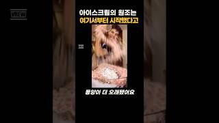 아이스크림의 원조는 여기서부터 시작이라고