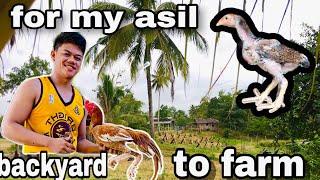 Tour In Our Farm | Asil Farm Soon | It's All About Family Farming