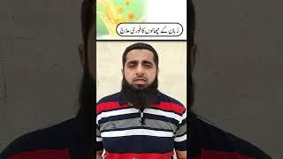 Zuban Par Challo Ka Fori Ilaj |Safdar Islamic Tube