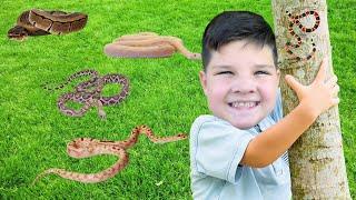 CALEB FOUND a SNAKE on our BUG HUNT!