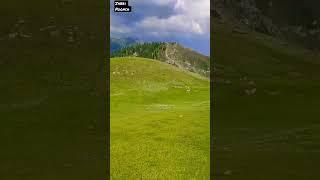 Breathtaking views from the top #viral #shorts #nature  #mountains #jammu #kashmir #jammukashmir