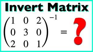 How To Invert This Special Matrix?