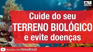 Cuide Do Seu Terreno Biológico E Evite Doenças