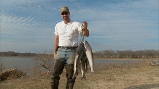 How to bank fish for catfish