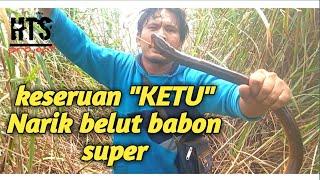 Keseruan mancing "BELUT super BABON"