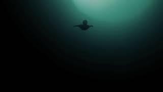 Thalassaophobia: The Fear of the Deep.