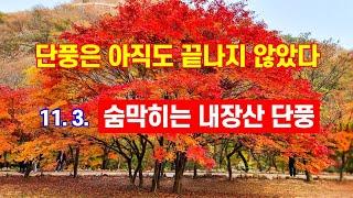 11월 불타는 내장산 단풍, 단풍은 아직도 끝나지 않았다 - 해산강트래블(海山江 travel)