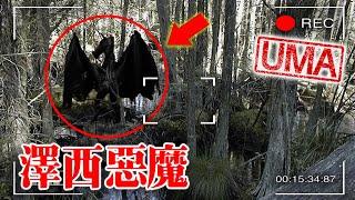 【UMA檔案】澤西惡魔 - 松林泥炭地裡的惡魔之子，惡靈降世。New Jersey Devil