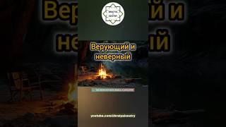 Верующий и неверный. |  ТАК МЕНЯ НАУЧИЛА ЖИЗНЬ @darulfikrmedia  #bratyaisestry