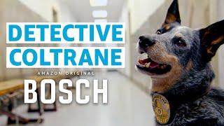 New Dog Detective Show From the Creator of Bosch | Prime Video